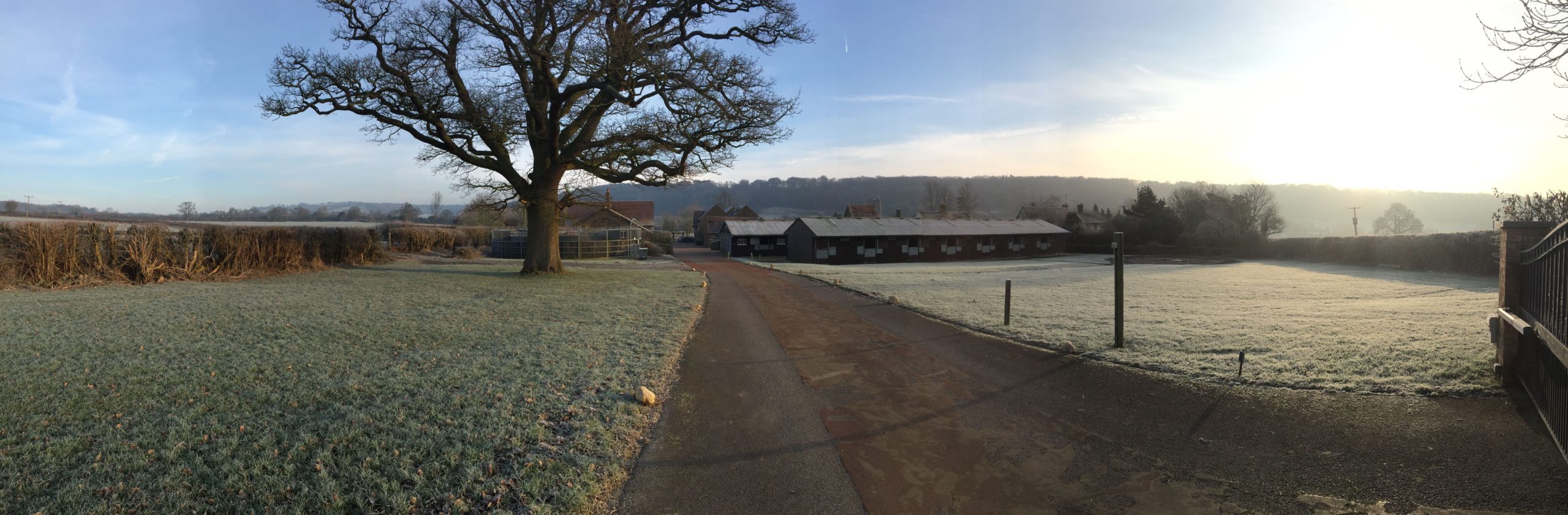 IMG 3959 scaled IMG 3959 scaled