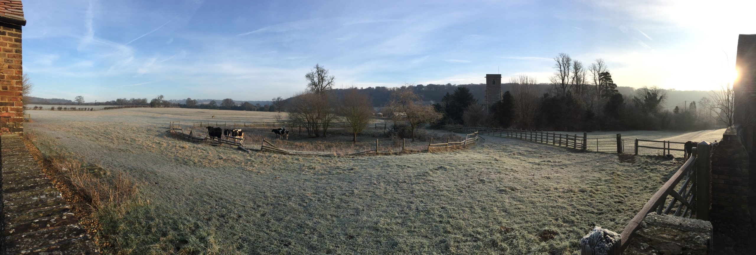 IMG 3973 scaled IMG 3973 scaled