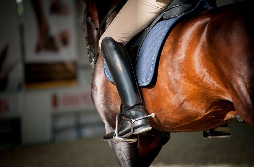 June Focus – Performance