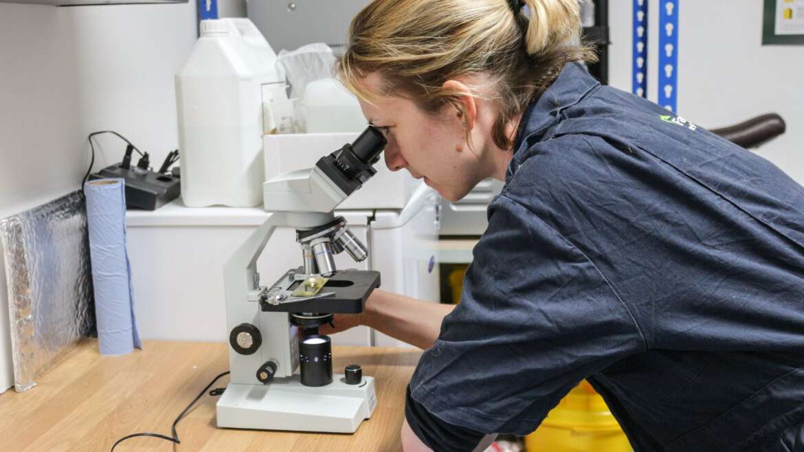 Preventative Healthcare How To Video Series