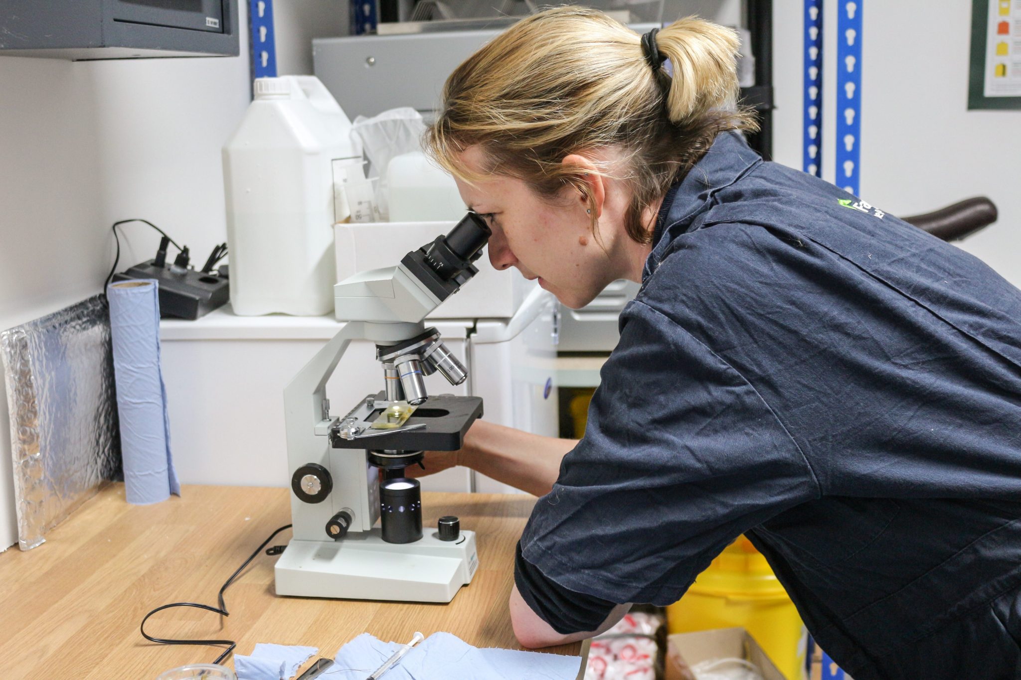 2015 05 27 15.20.38 1