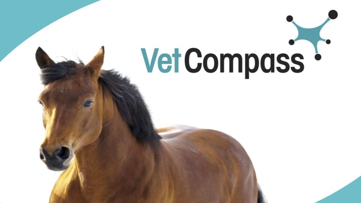 Vet Compass
