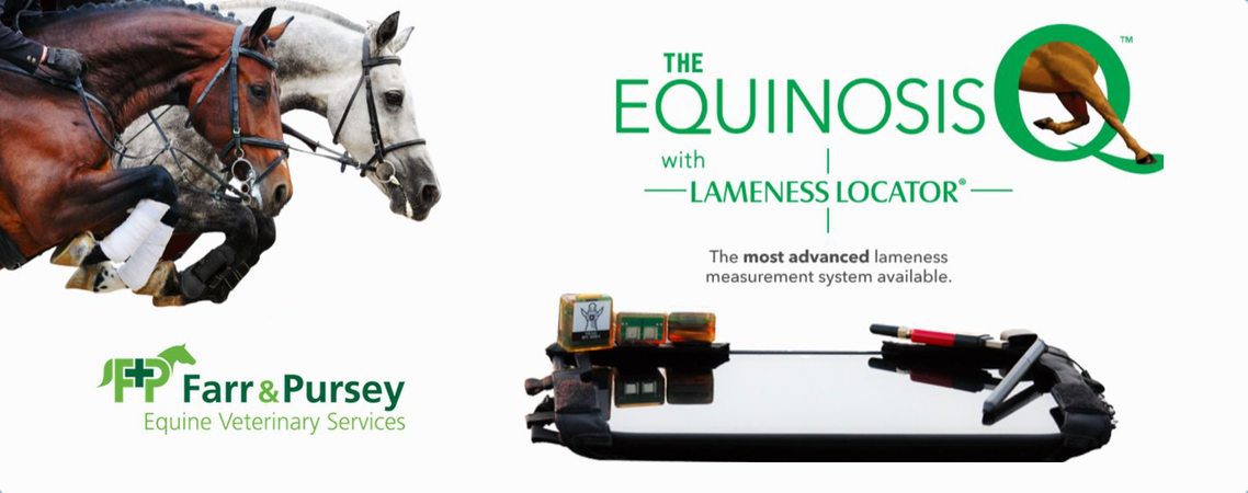 Lameness Sensors