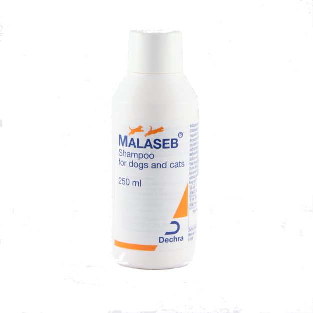 dechra malaseb shampoo