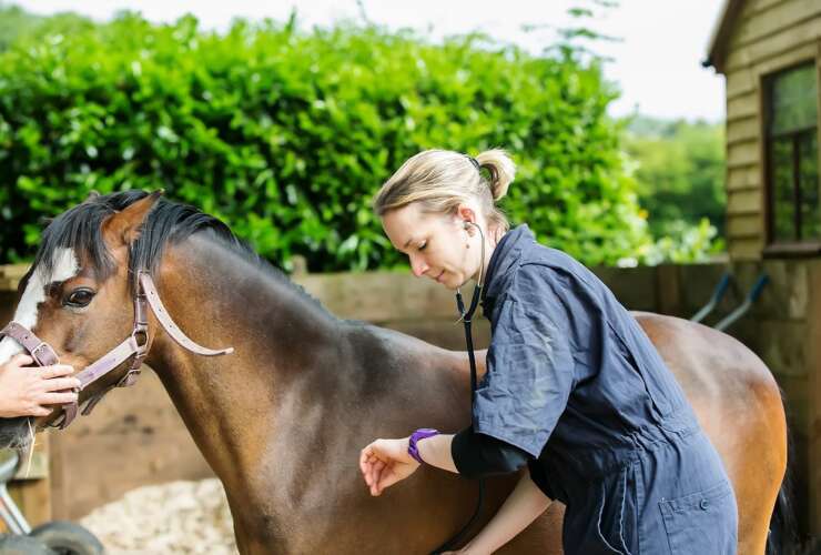 Medical Investigations