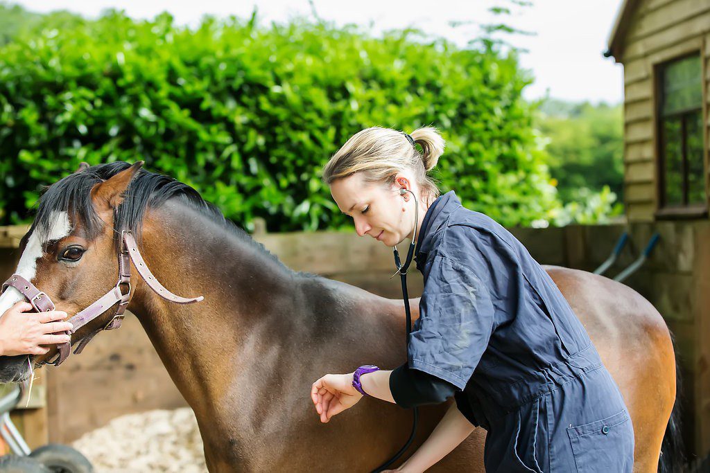 Medical Investigations