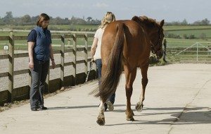 IPCIMMGLPICT000002716450 300x190 2