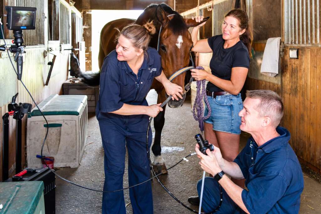 Gastroscopy scaled Gastroscopy scaled