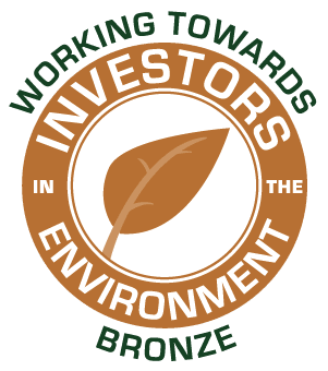 IIE WT Bronze IIE WT Bronze