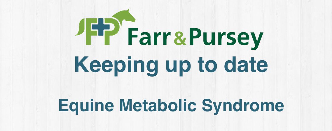 Understanding Equine Metabolic Syndrome