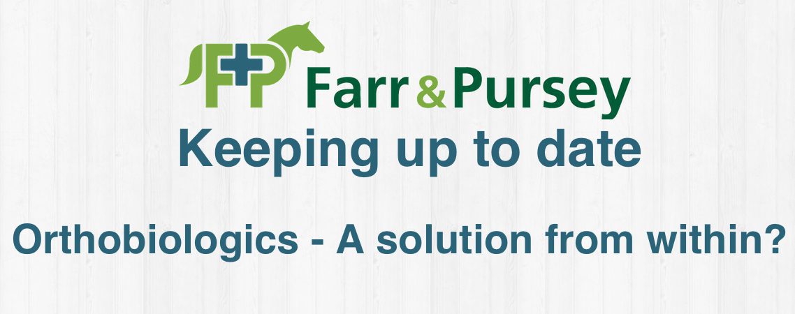 Harnessing Your Horse’s Natural Healing Power