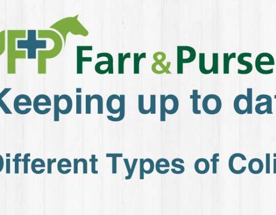 Different Types of Colic