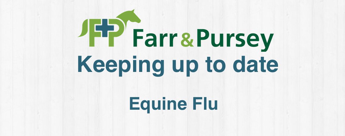 Equine Influenza