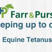 Equine Tetanus