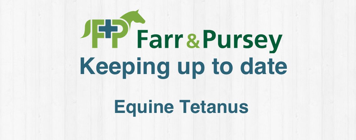 Equine Tetanus
