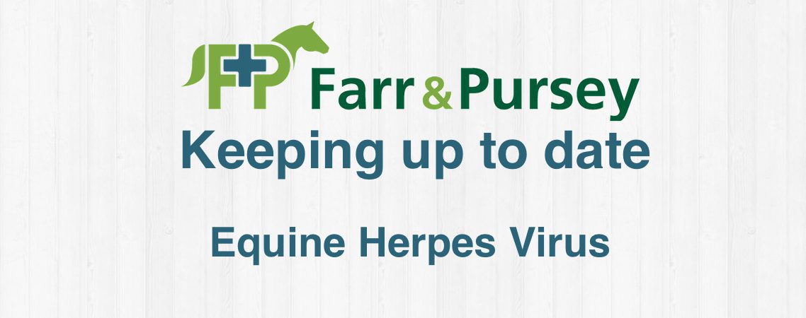 Equine Herpes Virus