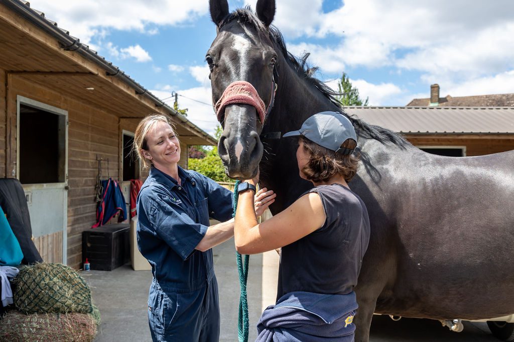 Horse and owner Horse and owner