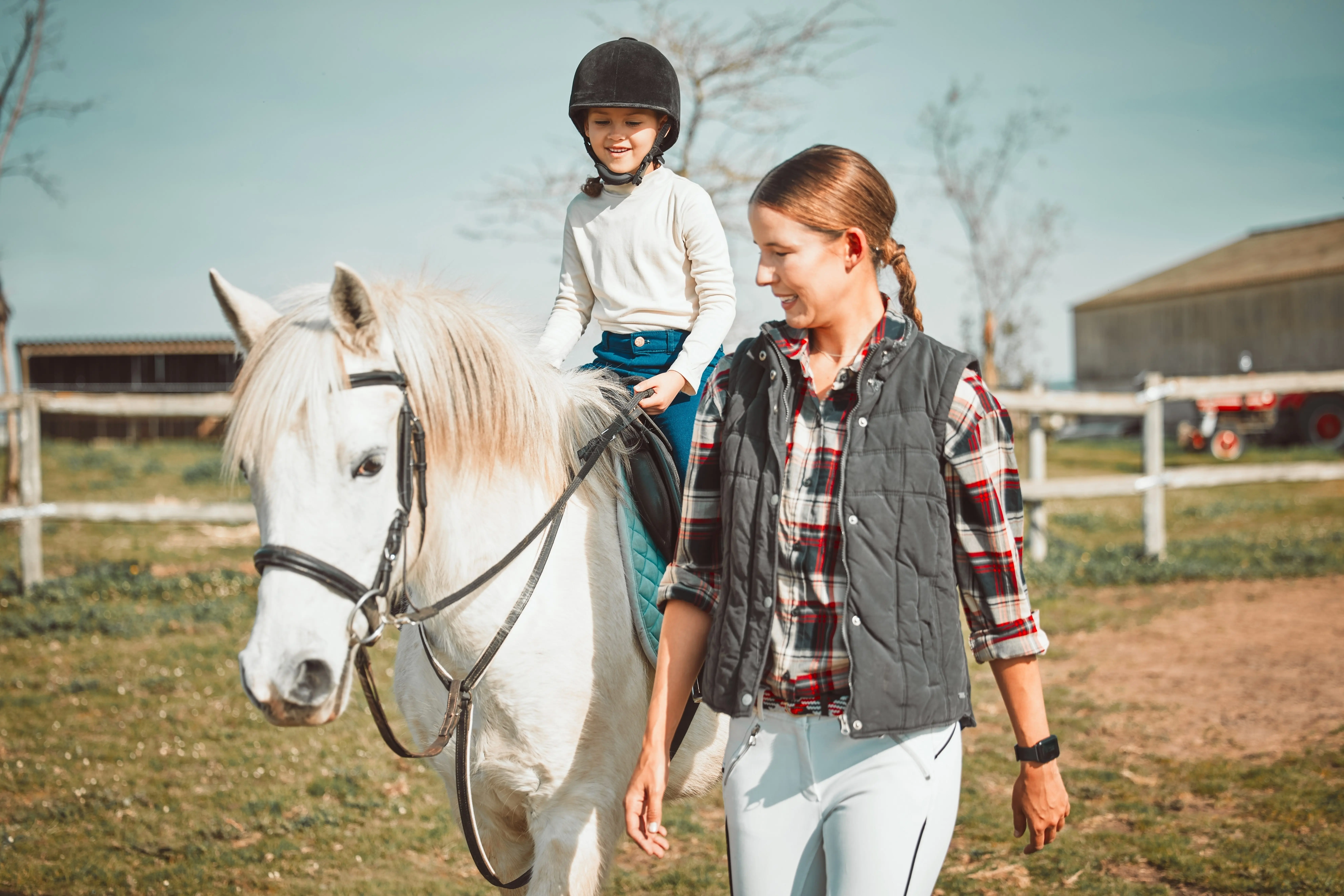Horse and child jockey