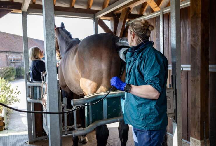 Reproductive Services