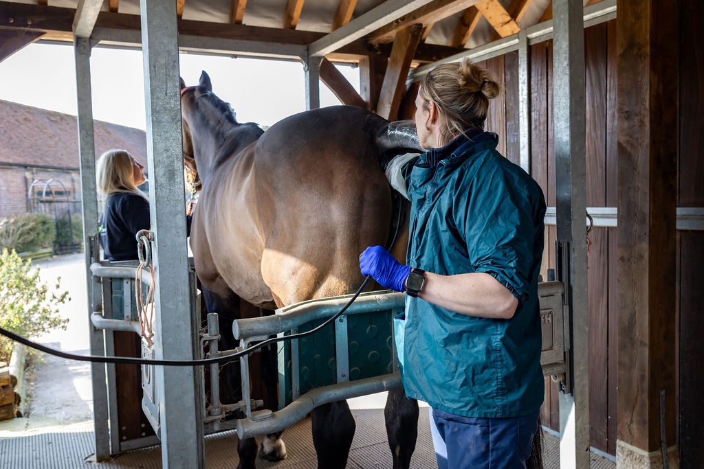 Reproductive services