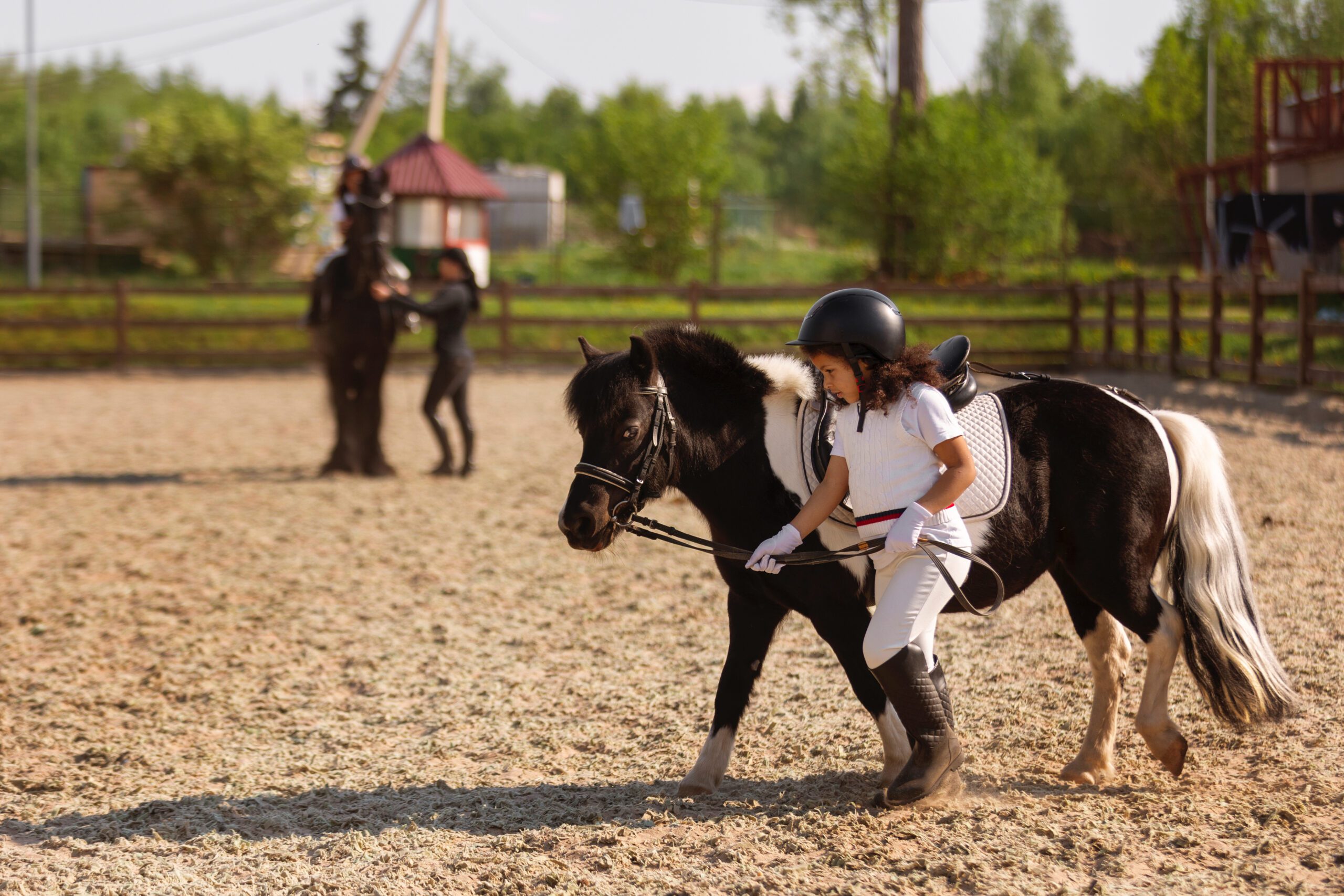 Riding-School-Inspections-scaled