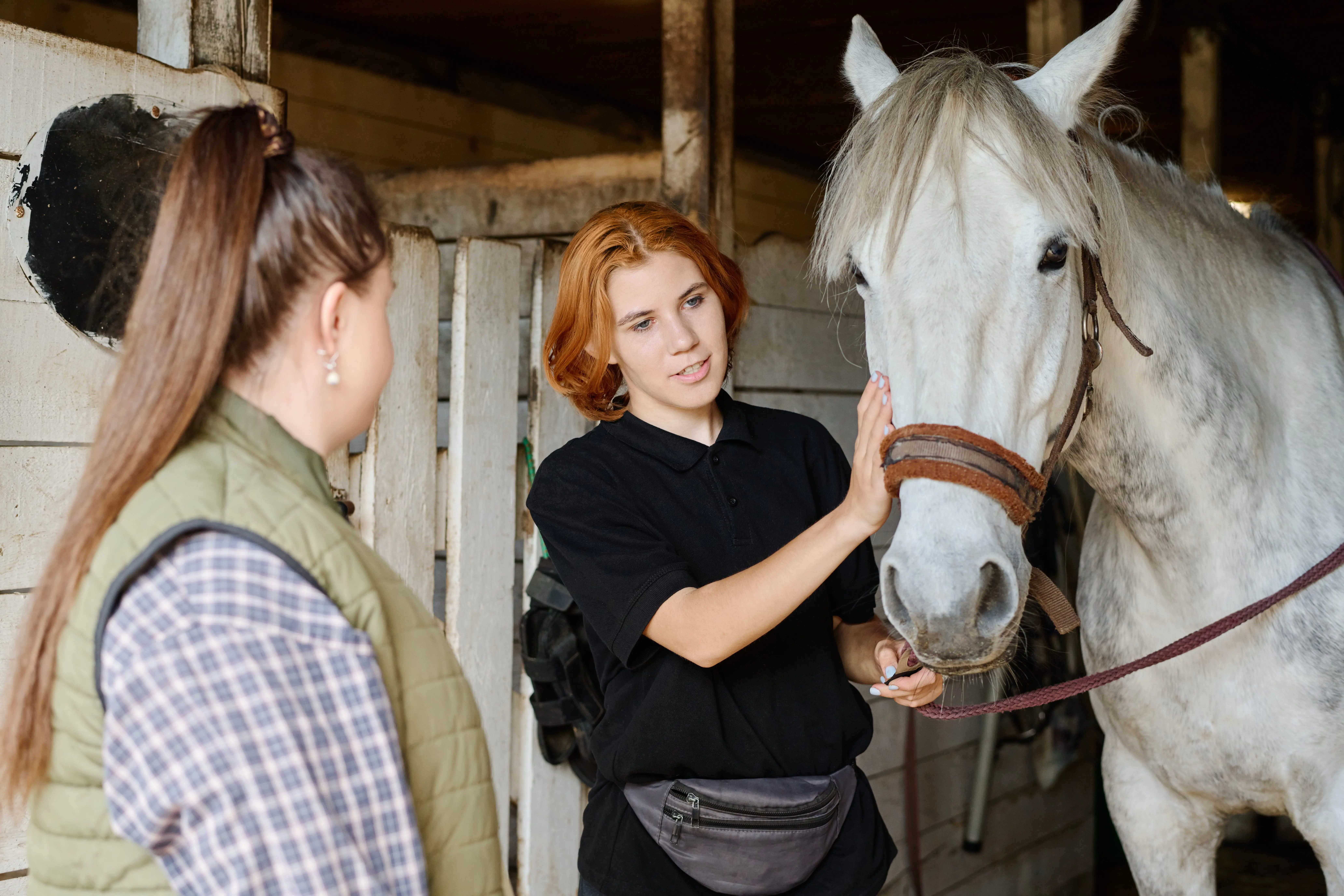 Two-ladies-talking-by-horse