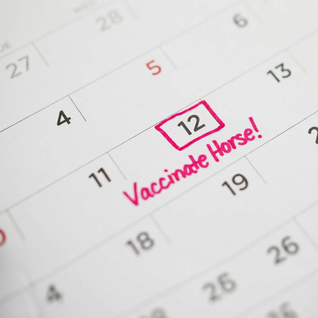 Vaccinate Horse Calendar - Prompt to vaccinate
