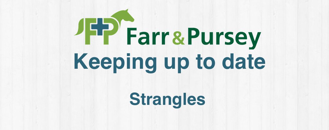 Strangles