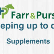 Horse Supplements – Are They Truly Necessary?