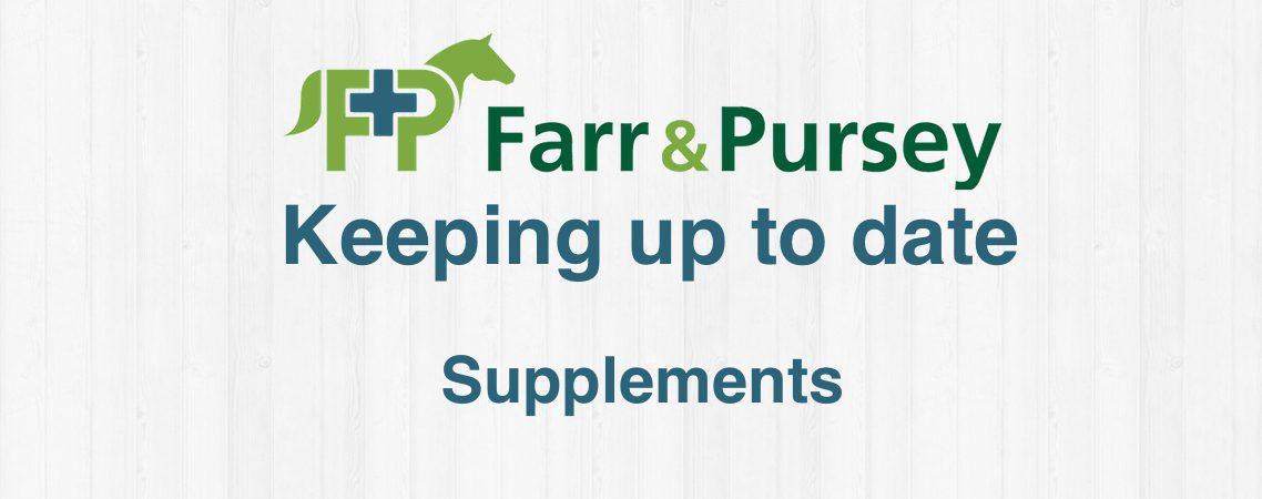 Horse Supplements – Are They Truly Necessary?