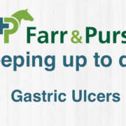 Gastric Ulcers – Part II