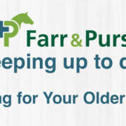 Caring For Your Older Horse
